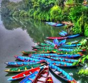 Amazing colored canoes…