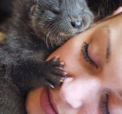 This is her significant otter…
