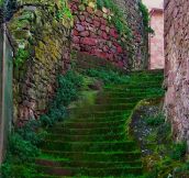 Beautiful moss covered staircase…