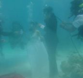 Underwater wedding…