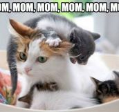 Mom, mommy, mom…