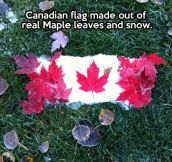 Natural Canadian flag…