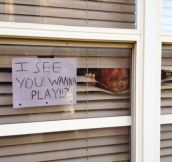 When it comes to Halloween, my neighbor doesn’t mess around…