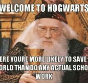 Harry Potter in a nutshell…