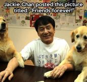 Jackie Chan’s best friends…