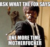 Enough with the fox…