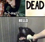 Hello, T-Dog?