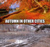 My autumns are not as glamorous…