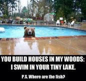 Bear has a point…