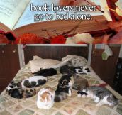 Book lovers are never alone…