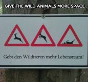 Wild animals need more space…