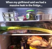 Massive leak in the fridge…