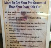 Why taking your dog to the groomer is expensive…