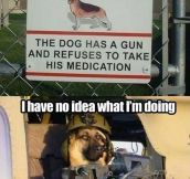 Beware of the armed dog…