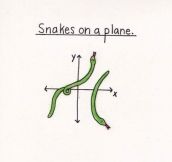 Actual snakes on a plane…