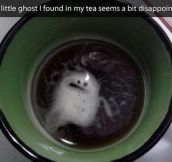 Disappointed ghost…