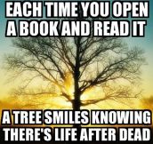 Each time you open a book…