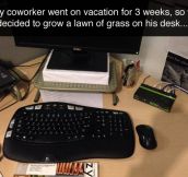 Green desk prank (9 Pics )