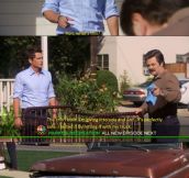 RON SWANSON IS A MASTER CRAFTSMAN.