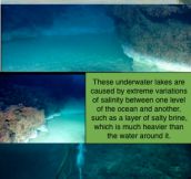 Real Life Underwater Spongebob Lakes