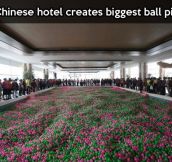The biggest ball pit in the world…