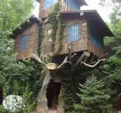 A three-store tree house in the woods…
