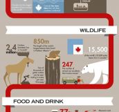 Insane facts about Canada…