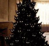 Crazy cat lady Christmas tree…