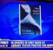 I’m so glad I never read 50 Shades of Grey…