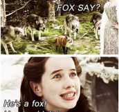 What would a fox say…