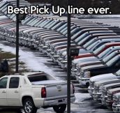 Cool pick up line…