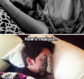 Cat owners will understand…