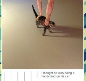 Cat handstand…