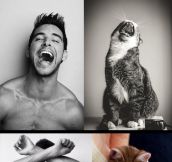 My cat does it better than you…