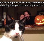 Family photo gets interrupted…