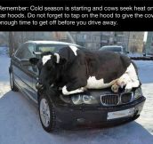 This winter, just remember…