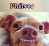Philver…