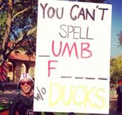 Stanford fan with the best sign ever made…