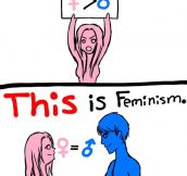 Some people don’t seem to understand what Feminism is…