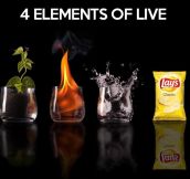 The four elements of life…