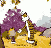 Animated Calvin and Hobbes…