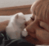 Kitten kisses…