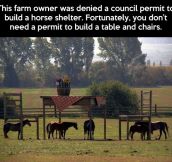 One very clever farmer…