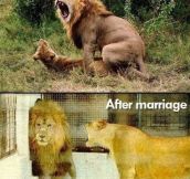 How marriage works…