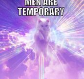 Cats vs. men…