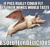 If pigs could fly…