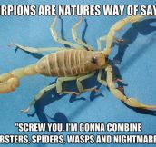 The truth about scorpions…