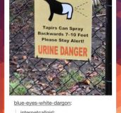 Beware of tapirs…