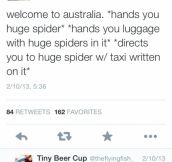 Found a twitter post that accurately sums up Australia