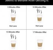 THE TEMPERATURE OF MY COFFEE.